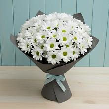 Букет цветов из:  Хризантемы #REPLACE_PRED# Посёлке Палатка