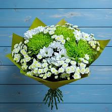 Букет цветов из:  Хризантемы в Посёлке Палатка